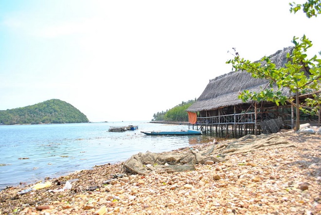quandao-balua-8.jpg