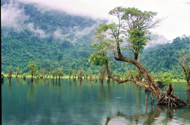 ho-noong3.jpg