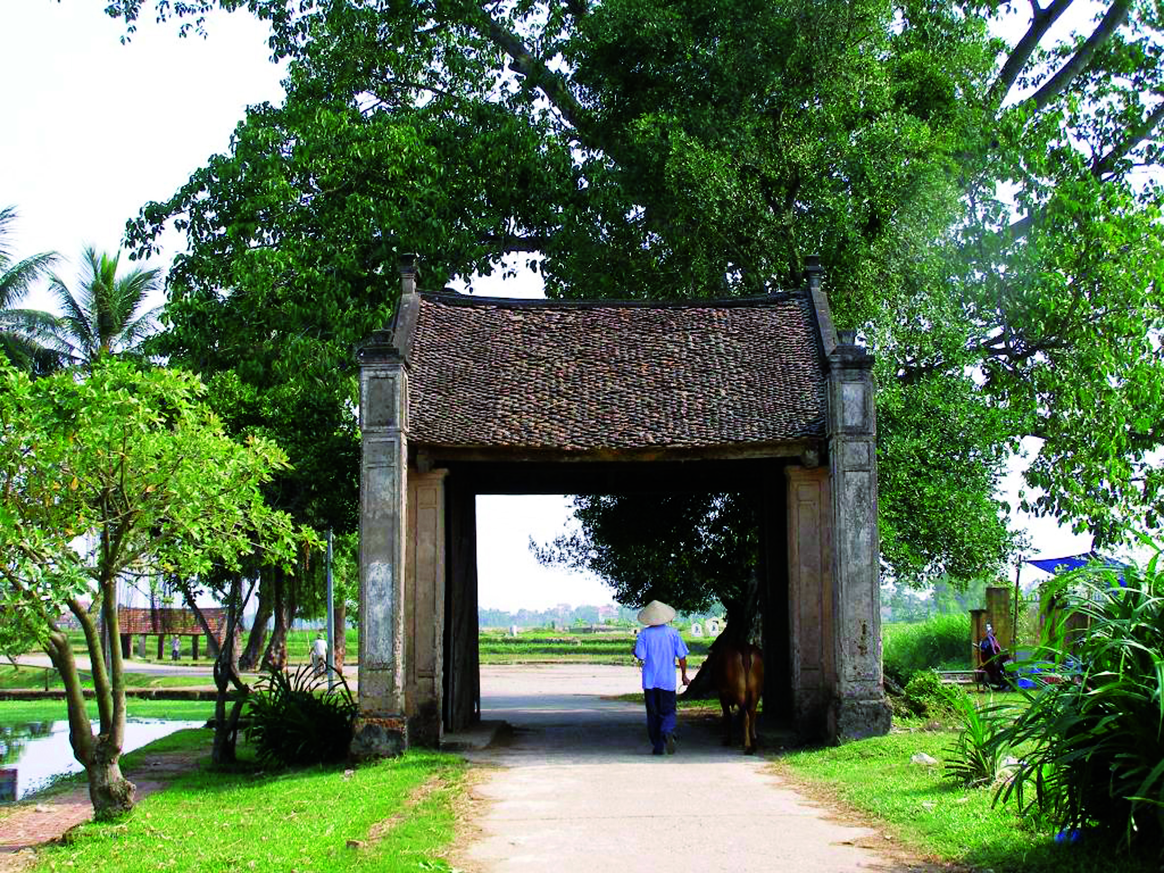 Duong-Lam635174515013114647.jpg