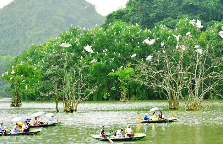 vuon-chim-thung-nham-ninh-binh.jpg