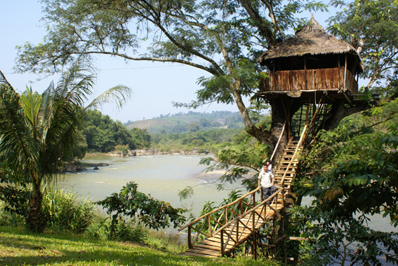 DichVu3571.jpg