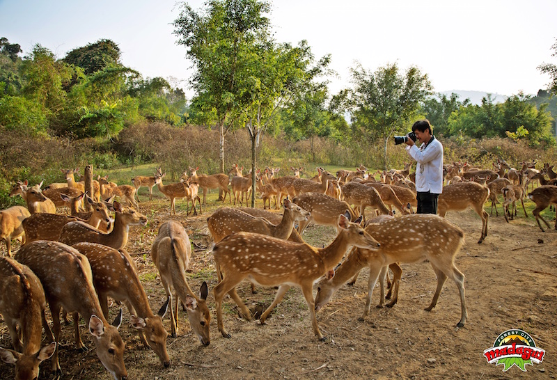 Vuon-Cay-Trai-Khu-Dong-Vat-Hoang-Da-3.jpg