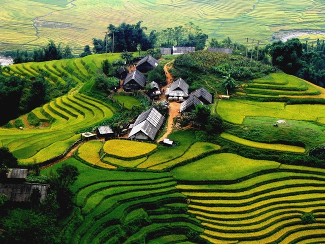 ruongbacthang2.jpg